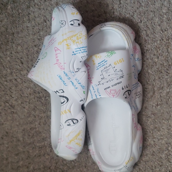 Champion slides - Picture 1 of 12